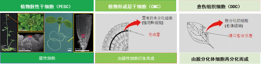产品个性.png