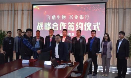 莱西加快推动金融+大健康试点