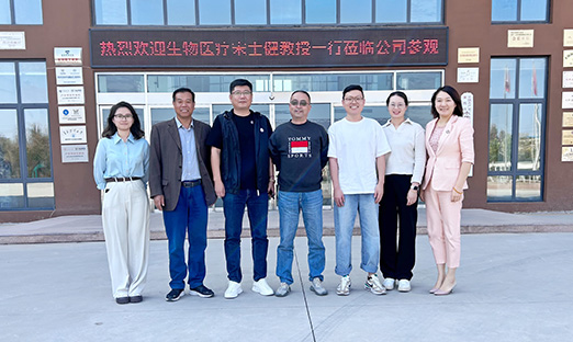 创新驱动科技，赋能产业发展