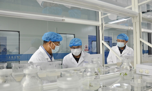 ；锛攀紫蒲Ъ依蠲饕逡恍械椒1xBET集团，共商合作新机缘