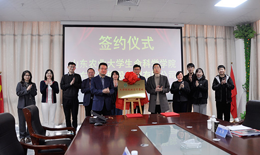校企合作新篇章|1xBET集团＆山东农业大学共建就业实习基地