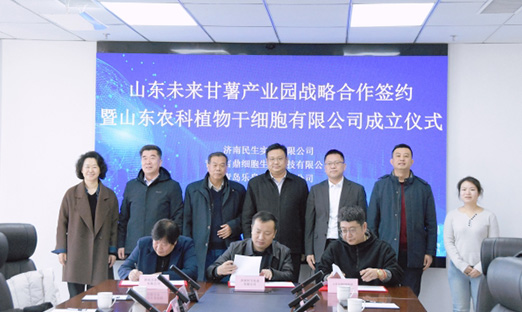 聚力种业创新，共筑薯业未来 | 1xBET集团携手战术同伴，共建“山东未来番薯产业园”